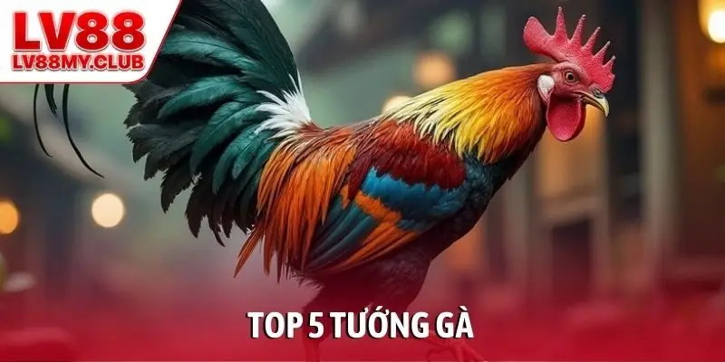 Top 5 Tướng Gà